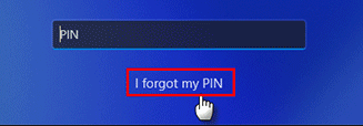 I Forgot My PIN Option in Login screen