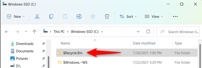 hidden recycle bin folders in Windows