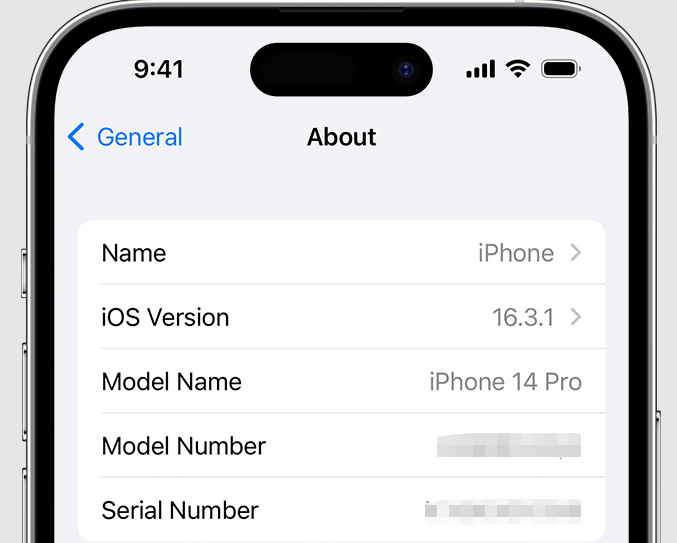 iPhone serial number