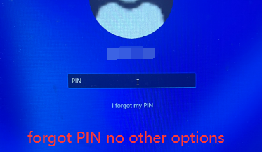 forgot PIN no other login options