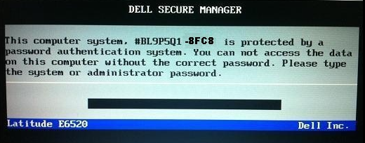 DELL BIOS password
