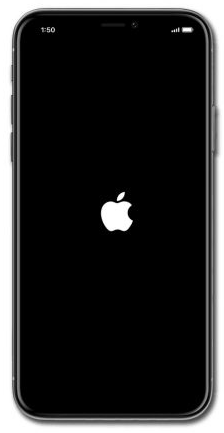 Apple logo on iPhone