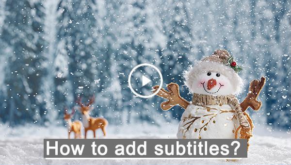 add subtitles to video
