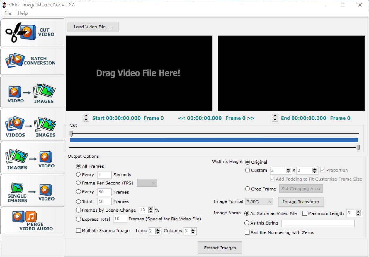 Initial interface of Video Image Master Pro software