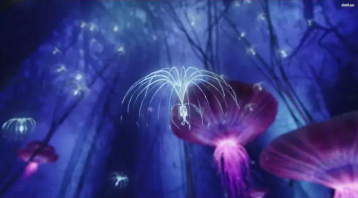A Pandora plant in the movie "Avatar"