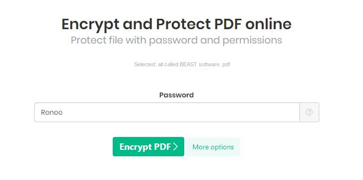 Set encryption password