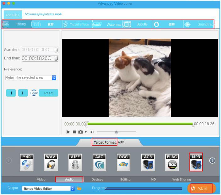 Export converted video files