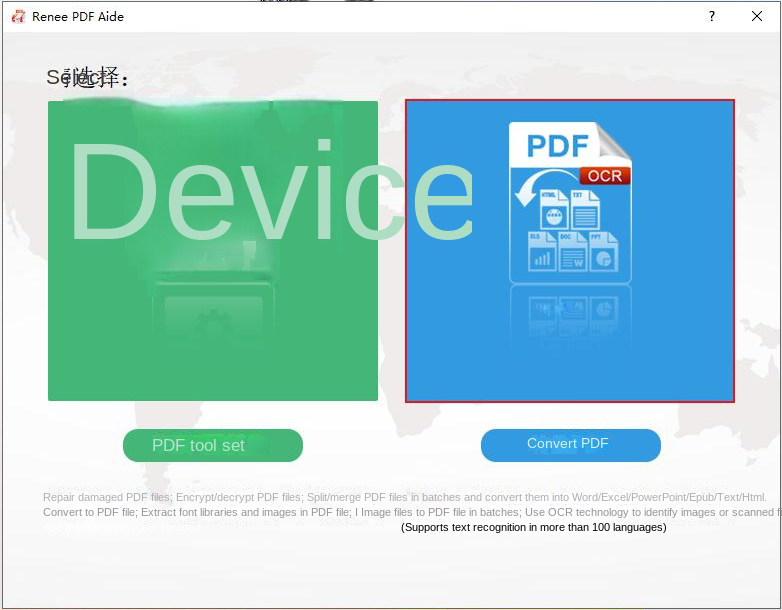 Convert PDF Options