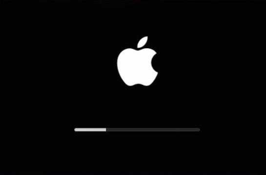 The Apple logo appears on the screen