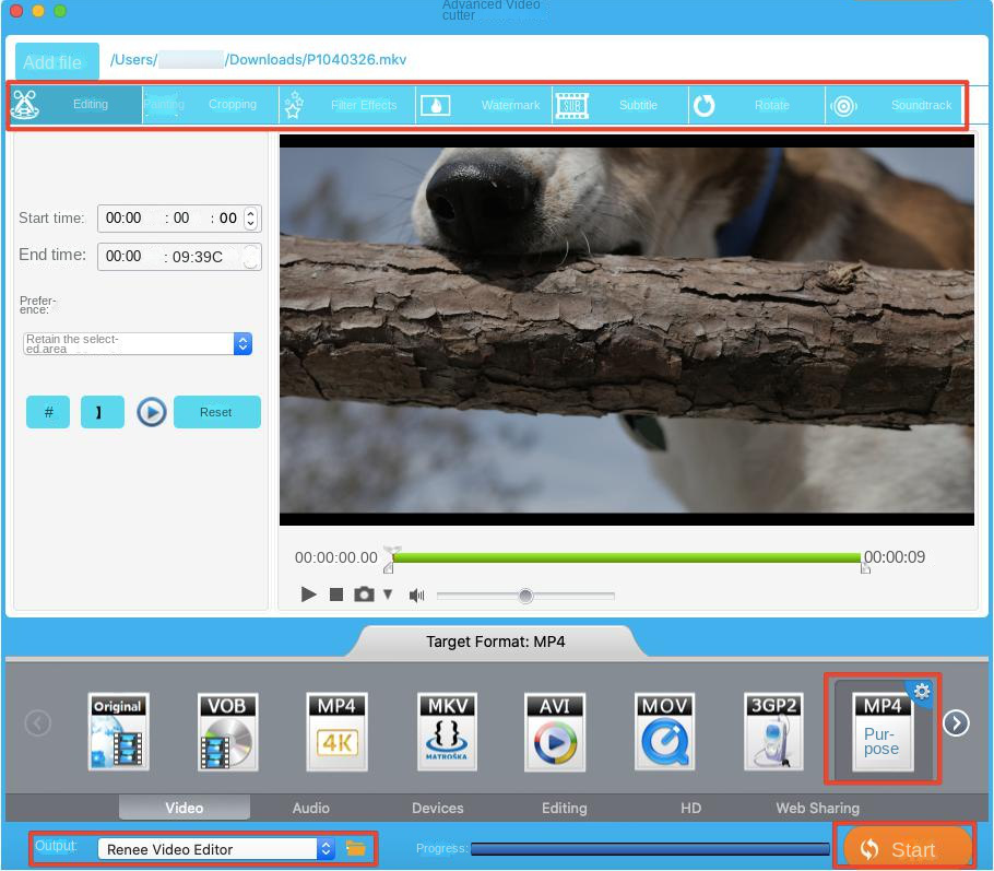 Renee Video Editor Mac software exports converted MP4 video files