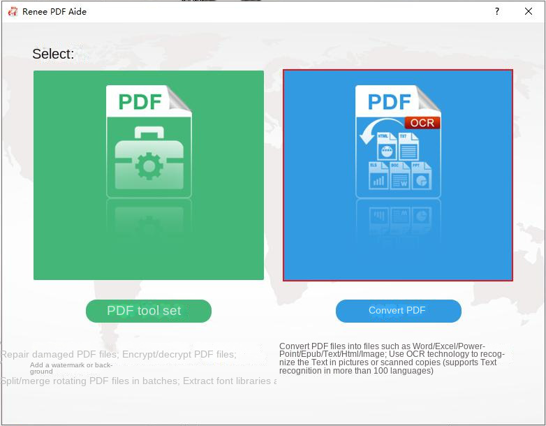 Select Convert PDF option