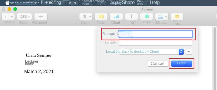 Pages set name, location, click export