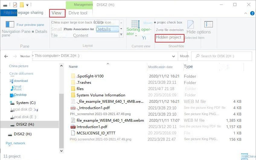 File Explorer showing hidden files