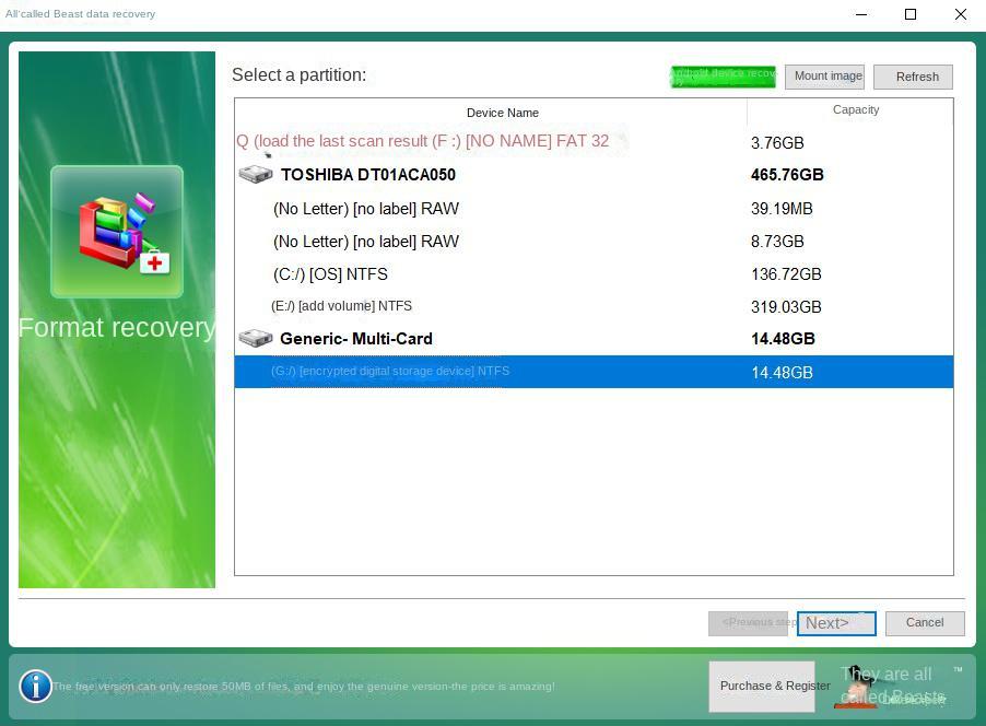 Format recovery selected partitions to scan