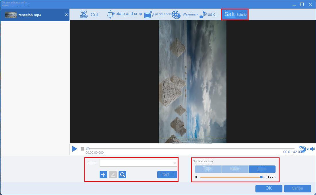 Add video subtitle interface