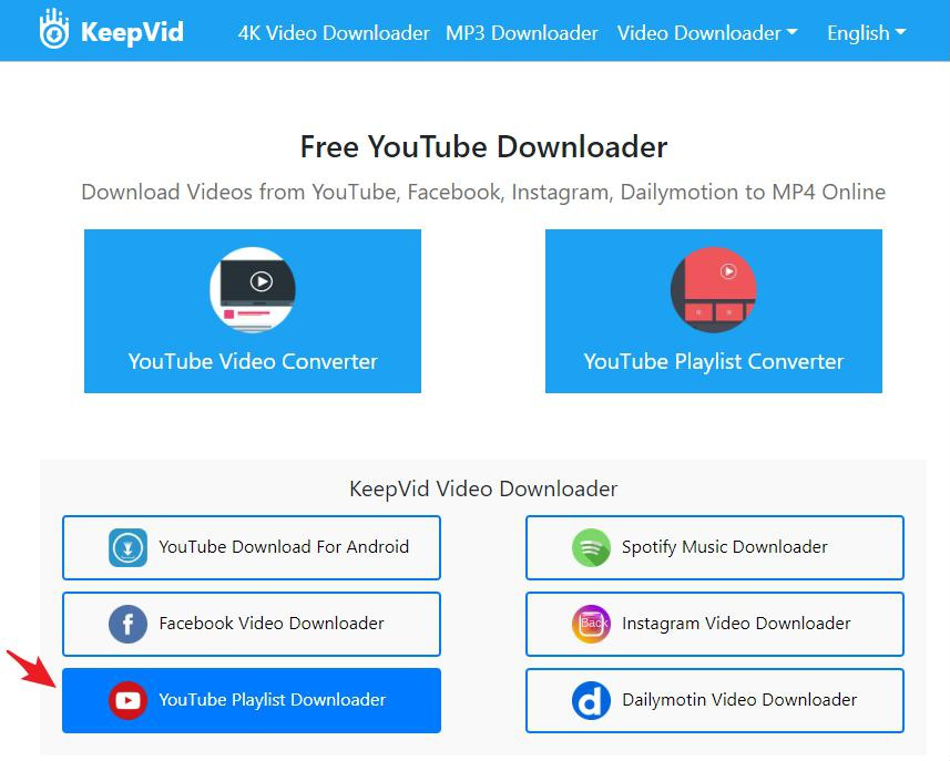 KeepVid online download tool