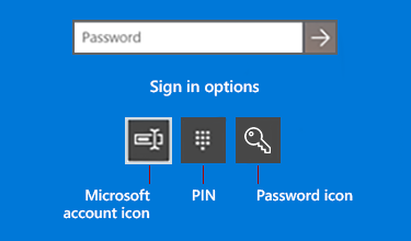 windows pin password