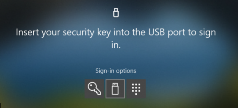 insert your security key