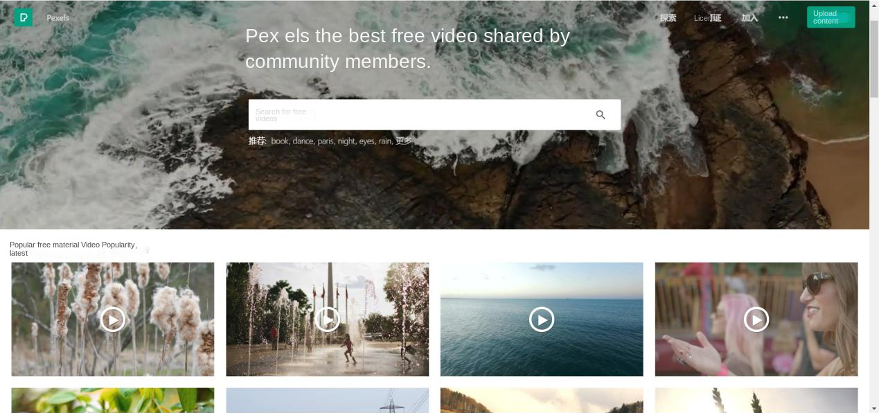 Initial interface of PexelsVideo