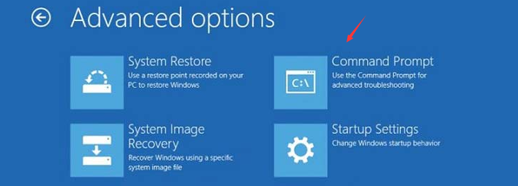 Windows 11 Troubleshoot Advanced options