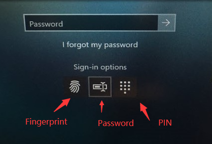 windows login option password option