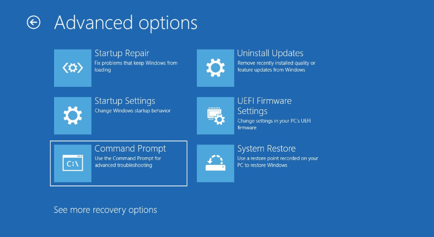 Select "Command Prompt" in "Advanced options"