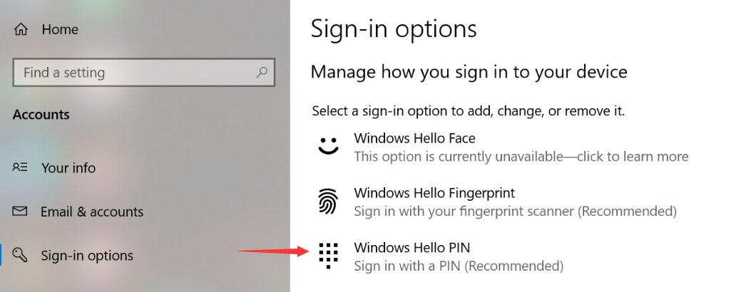 In the "Sign-in options" menu, click on the "Windows Hello PIN" option