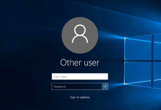 input username in Windows login screen