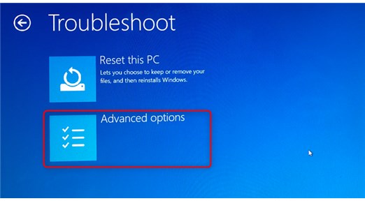 select advanced options in troubleshoot window