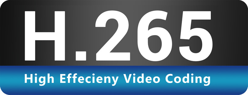 295_H.265_HEVC_logo