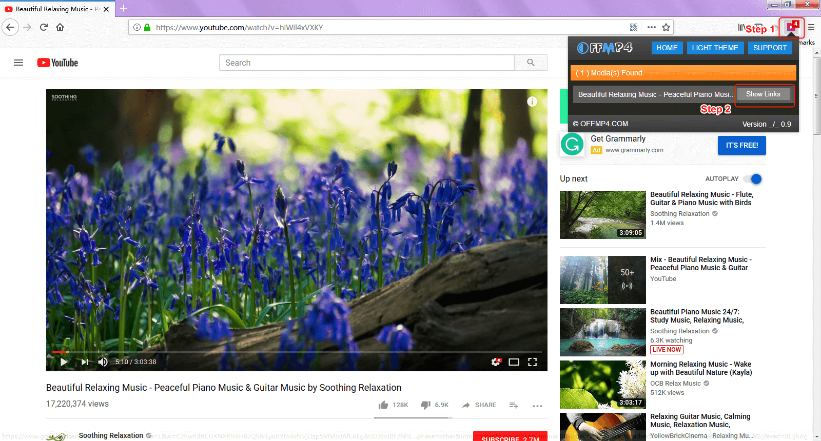 show link in offmp4 firefox