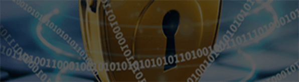 Data Security & Password Reset
