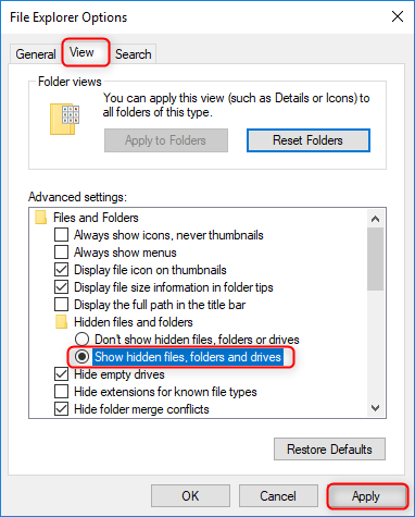 check hidden files in file explorer options