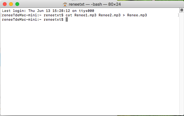 run cat command on mac to merge mp3 files