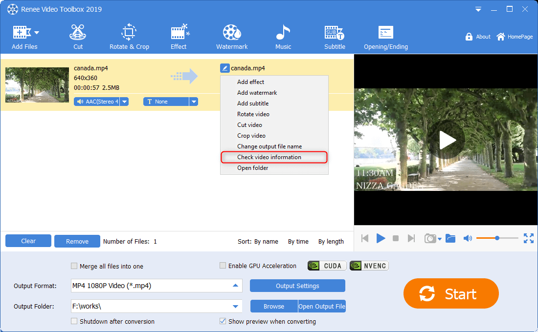 check information about the video in renee video editor pro