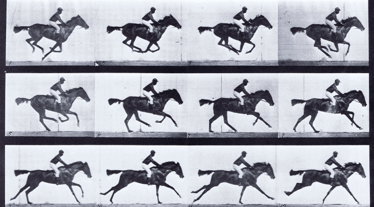 frame number of recording horse riding