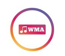 convert from wma to mp3