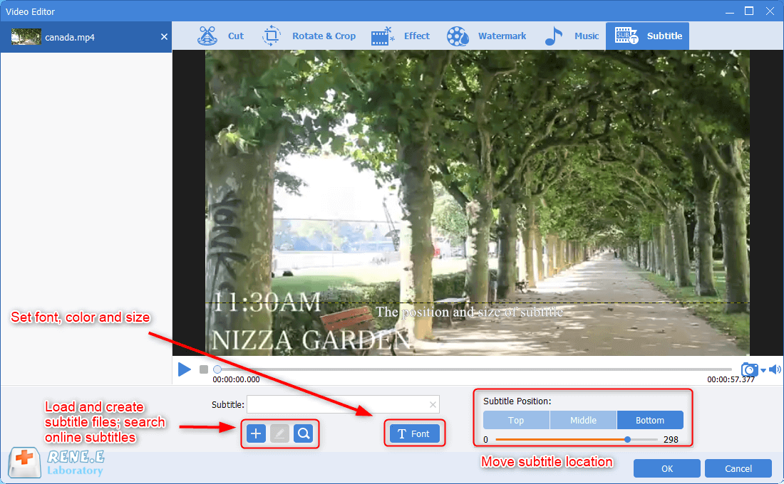 create and load subtitles in renee video editor pro