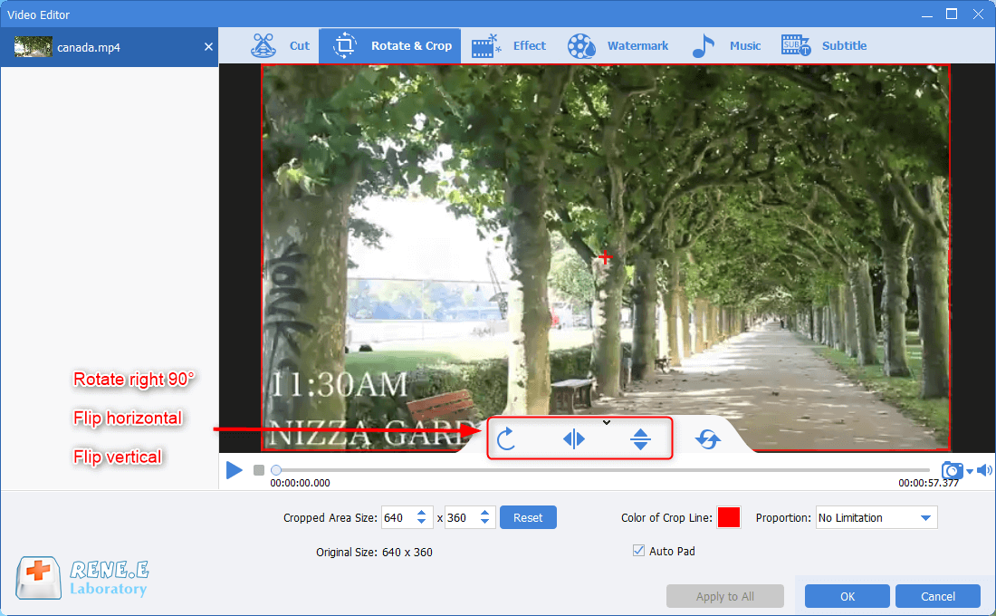 use renee video editor pro to change the video screen display