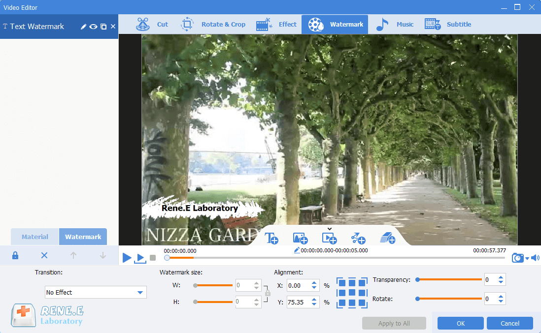 move the text watermark to the specific position in renee video editor pro