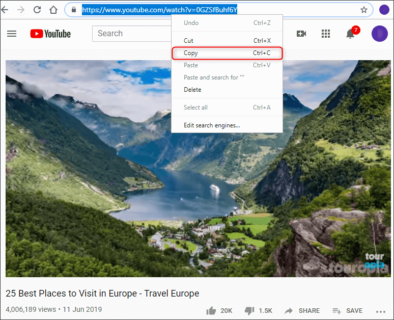copy the video link from youtube