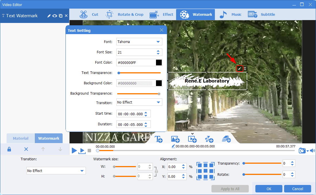 edit text watermark in renee video editor pro