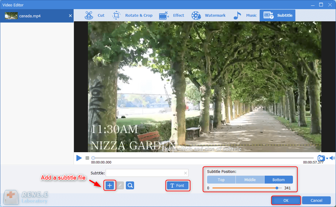 add a subtile file and then adjust the font sytle and position in renee video editor pro