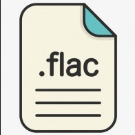 flac audio format