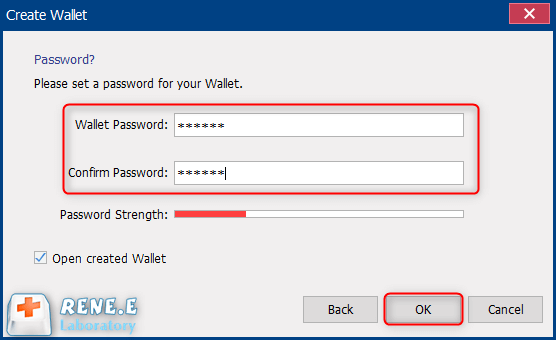 set password for the wallet