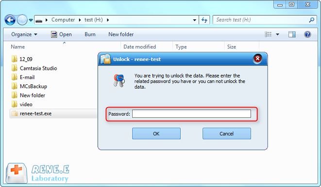 Encrypt a folder in external disk with password