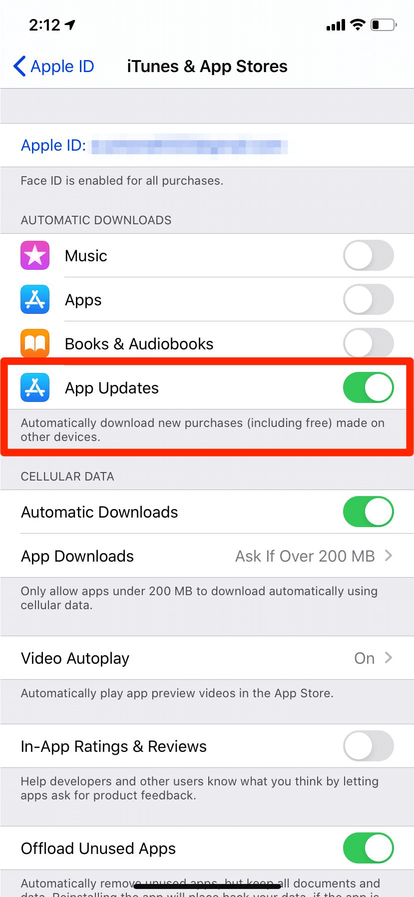 set automatic updates for iphone apps