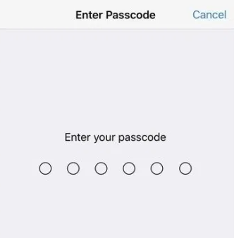 enter the screen lock password to reset iphone network
