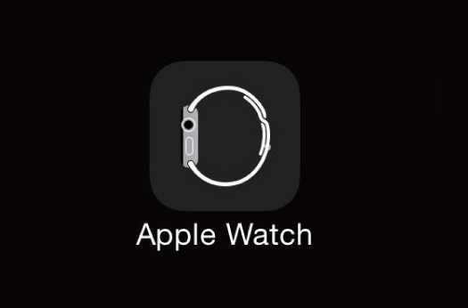 get into apple watch on iphone