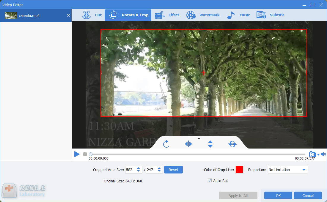 crop the area from a video in renee video editor pro
